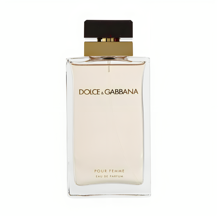 Dolce &amp; Gabbana Pour Femme Eau De Parfum for Women 100ML