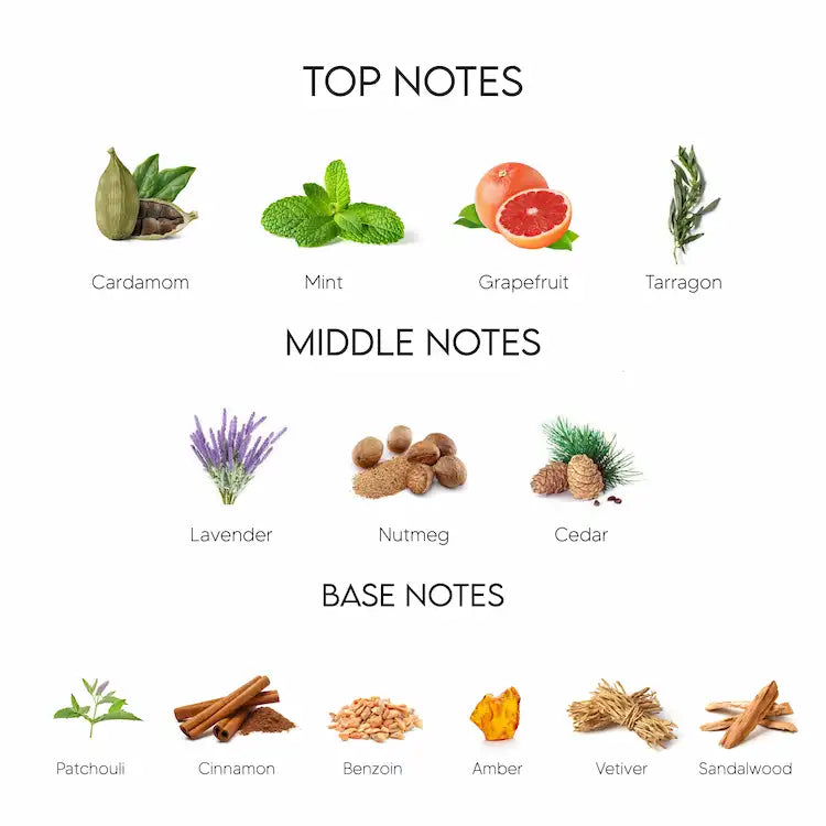 Burberry Mr. Burberry Eau De Parfum for Men 100ML