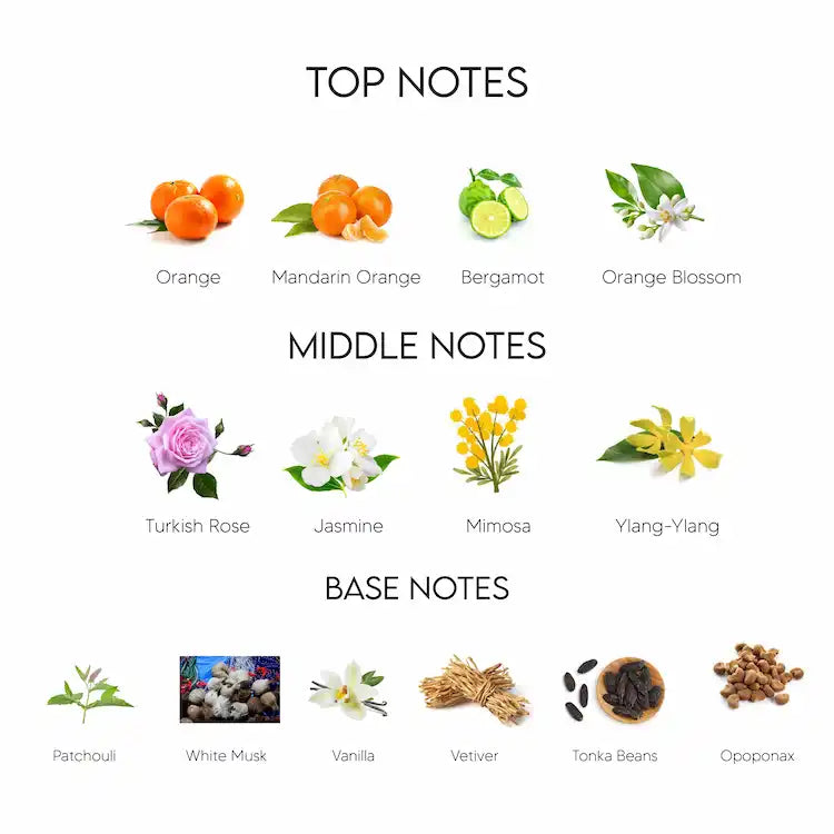 Chanel Coco Mademoiselle Eau De Parfum for Women 100ML