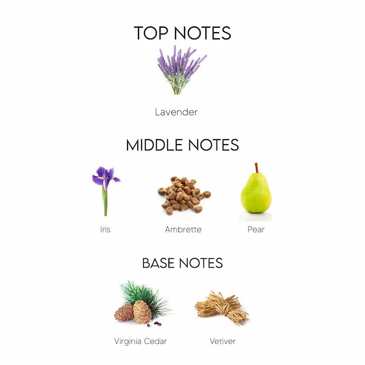 Christian Dior Homme Intense Eau De Parfum for Men 100ML