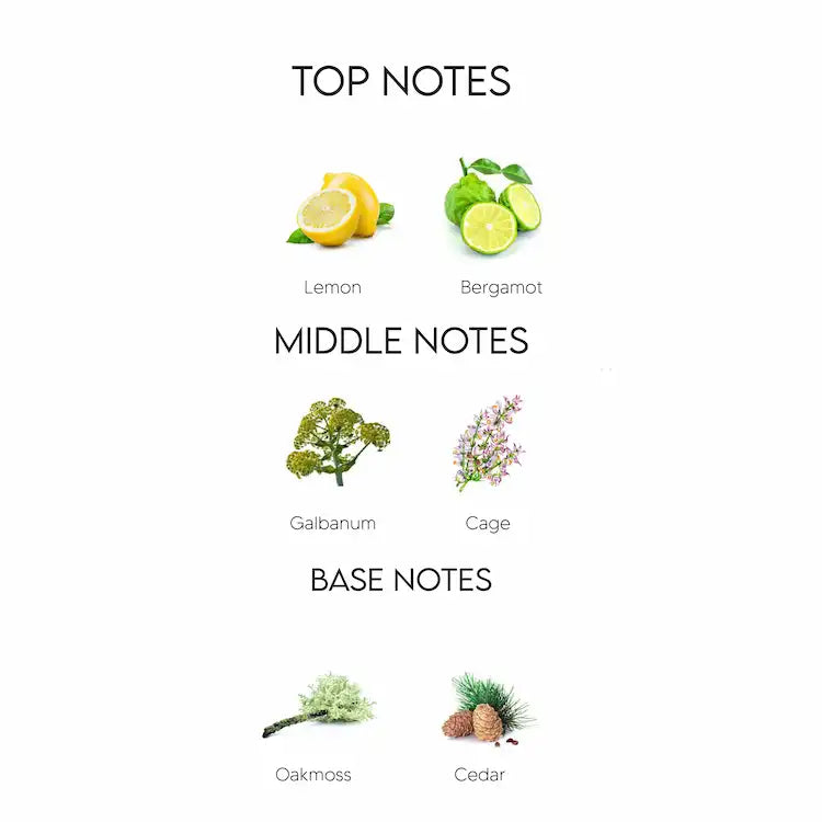 Davidoff Champion Eau De Toilette for Men 90ML