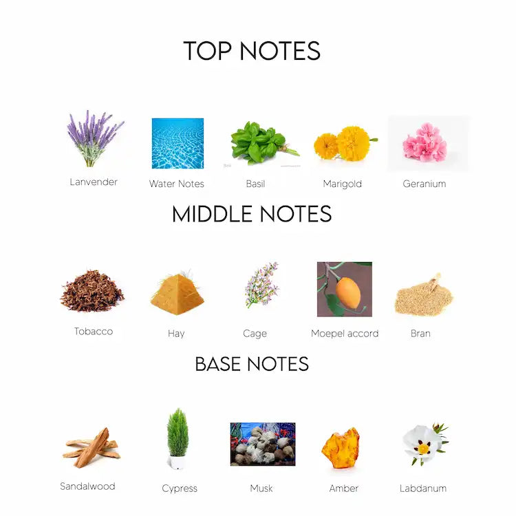 Dolce & Gabbana Intenso Eau De Parfum for Men 125ML