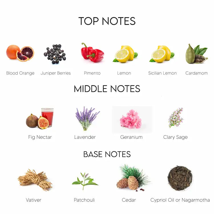 Dolce & Gabbana King Eau De Parfum for Men 100ML