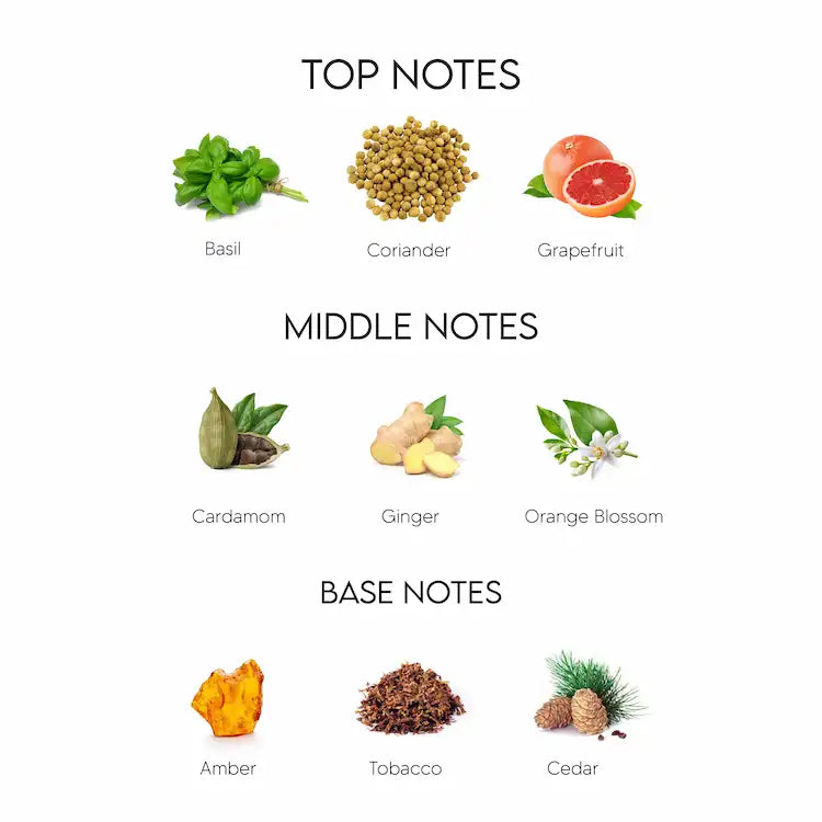 Dolce & Gabbana The One Eau De Parfum for Men 100ML