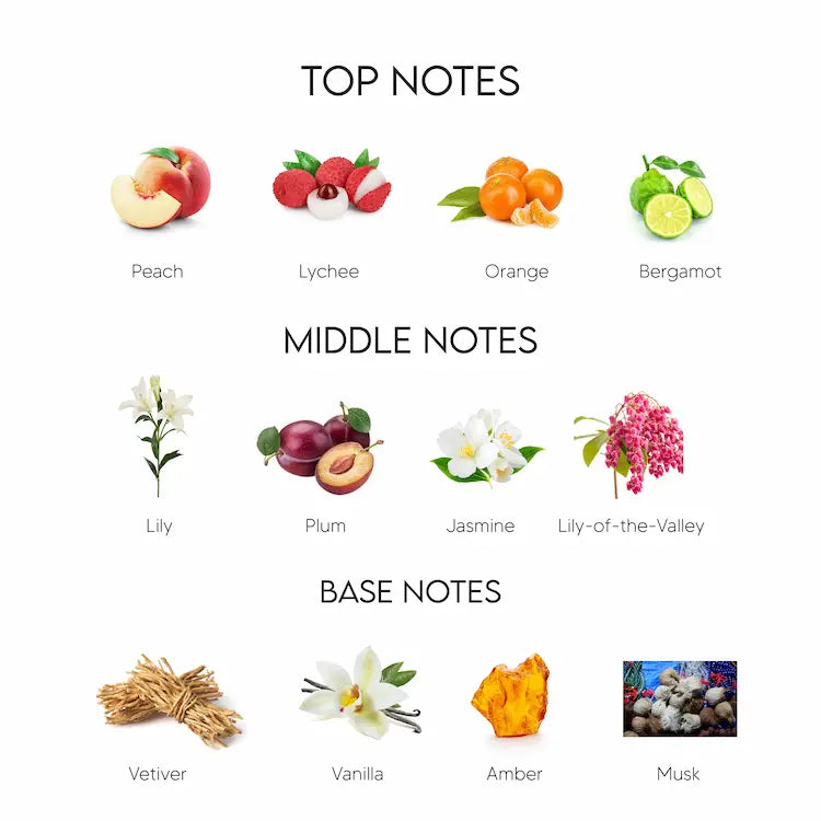 Dolce & Gabbana The One Eau De Parfum for Women 75ML