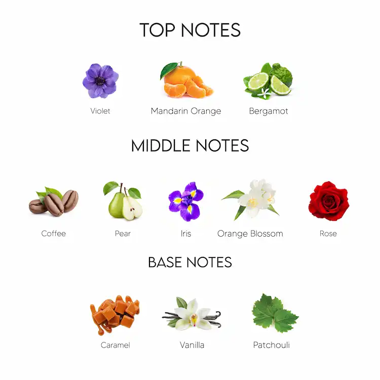 Dolce & Gabbana The Only One Eau De Parfum for Women 100ML