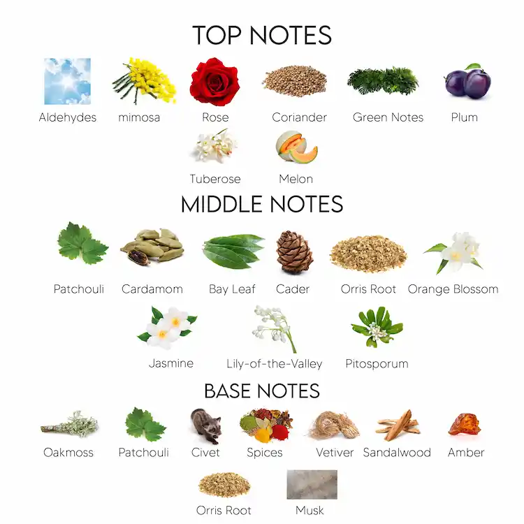 Estee Lauder Knowing Eau De Parfum for Women 75ML