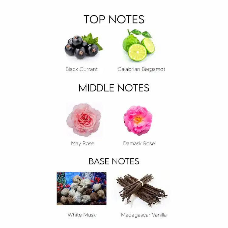 Giorgio Armani Si Passione Eau De Parfum for Women 100ML