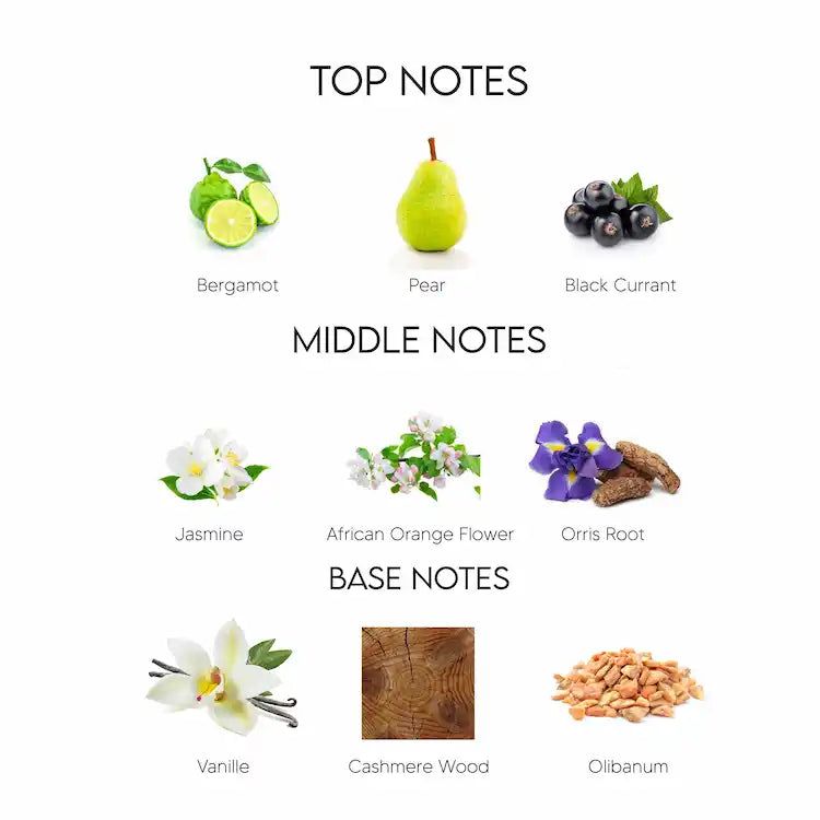 Guess Seductive Eau De Toilette for Women 75ML