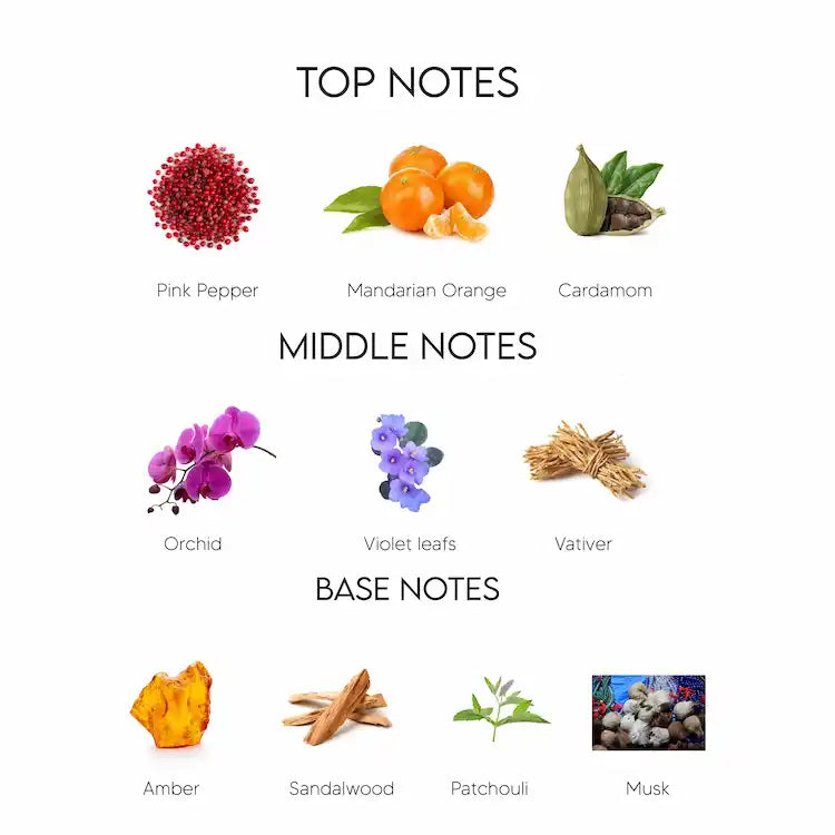 Guess Seductive Homme Eau De Toilette for Men 100ML