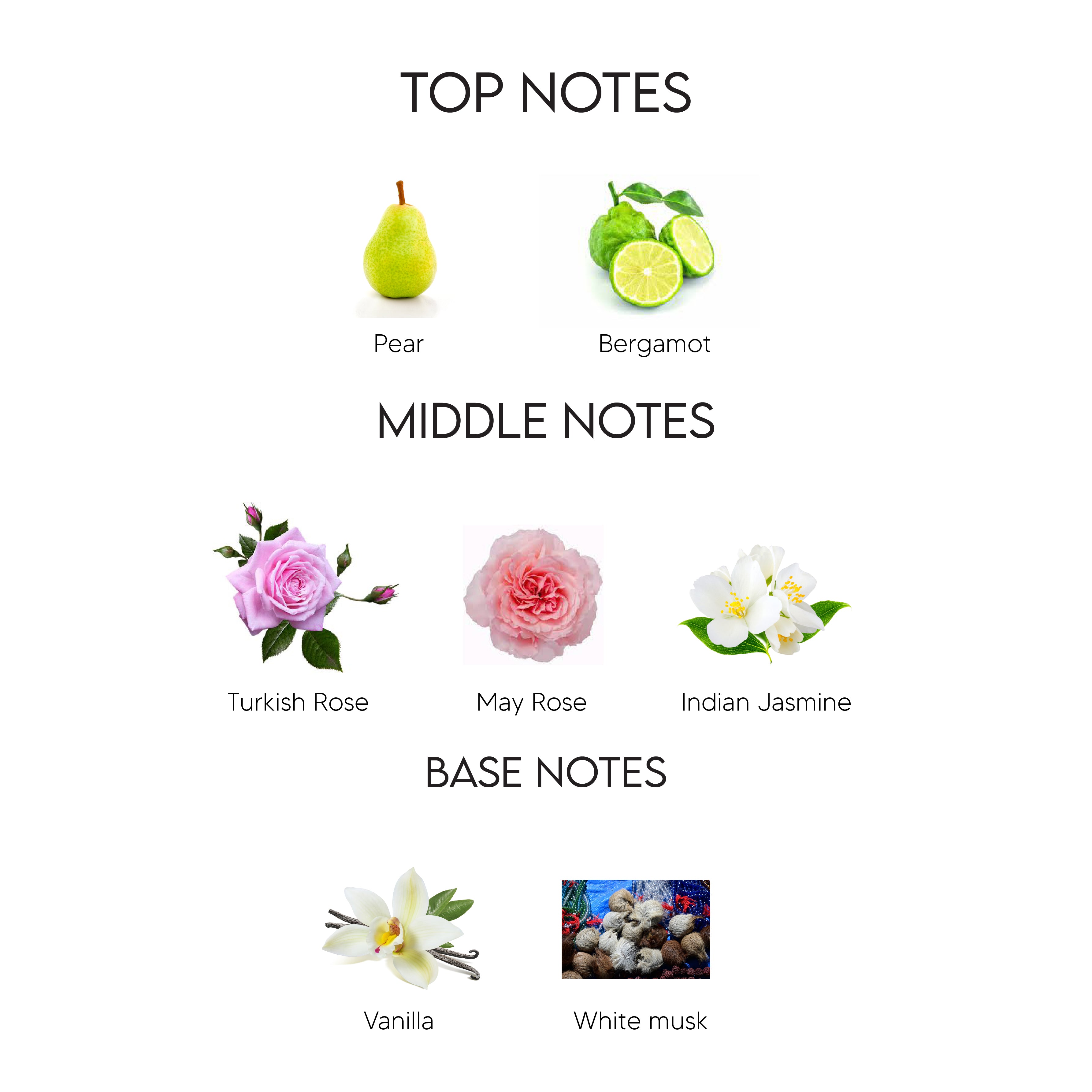 Perfume notes for Lancome Idole Le Parfum for Women 75ML