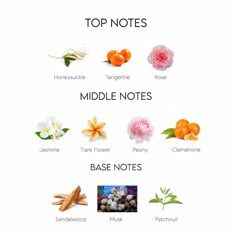 Burberry London Eau De Parfum for Women Sahara Perfumes