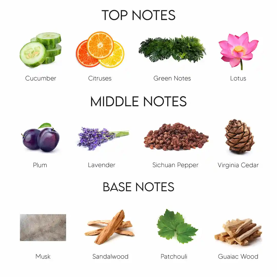 Calvin klein aqua 100ml sales