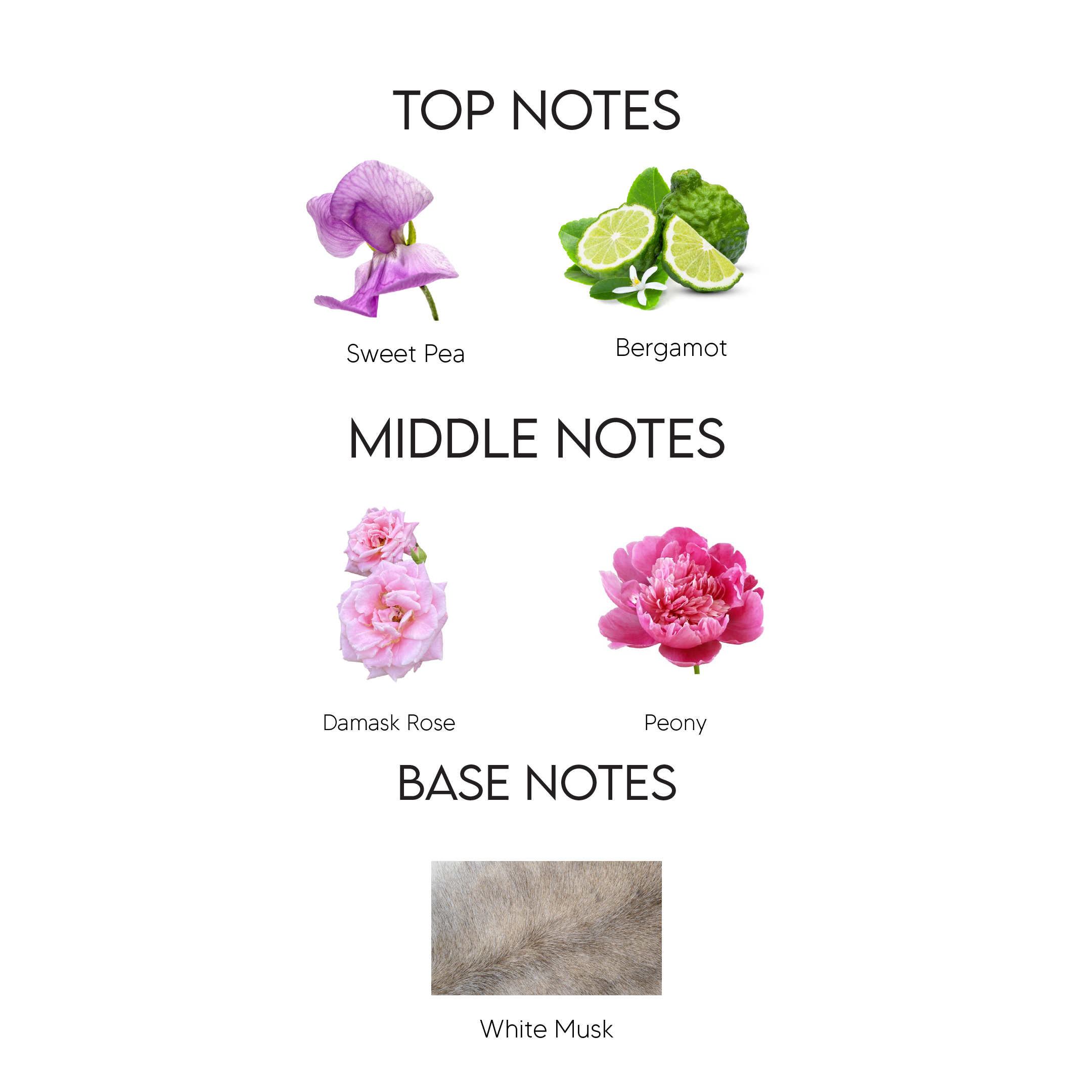Notes of Dior Miss Dior Blooming Bouquet Eau De Toilette for Women 