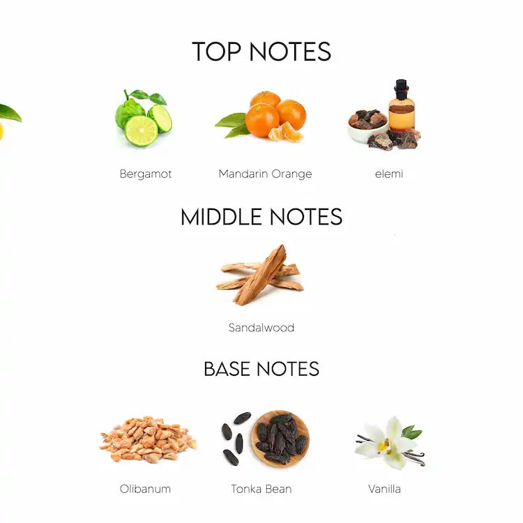 Dior Sauvage Edp Top Notes Eau Sauvage Parfum 2017 Dior Cologne A