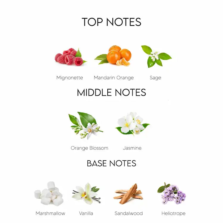 Dolce &amp; Gabbana Pour Femme Eau De Parfum for Women 100ML