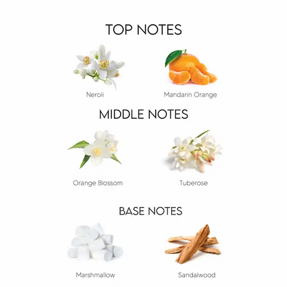 Pour femme intense dolce gabbana shop