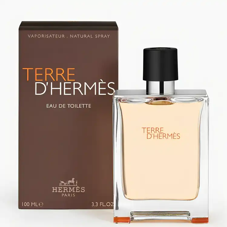 Hermes Terre D`Hermes Eau De Toilette for Men 100ML