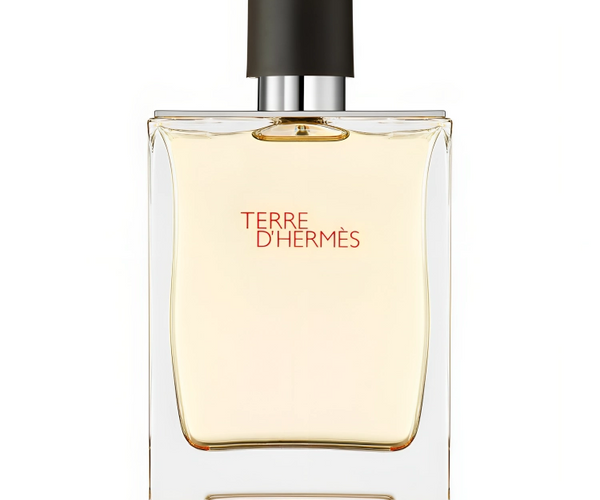 Hermes Terre D`Hermes Eau De Toilette for Men 100ML - Sahara Perfumes