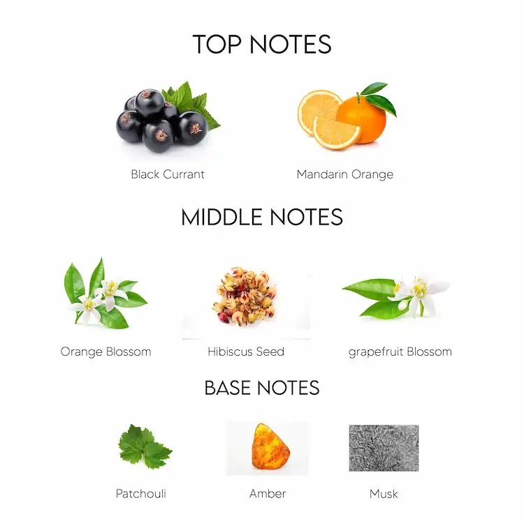 Roberto cavalli notes sales