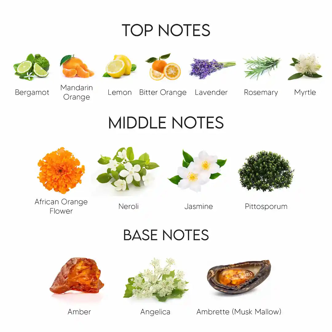 Tom Ford Neroli Portofino Eau De Parfum Unisex Sahara Perfumes