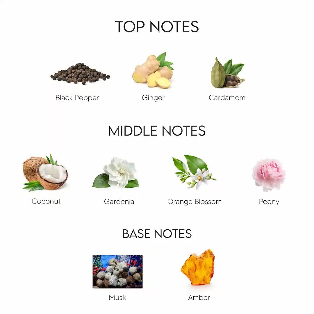 Versace Crystal Noir Eau De Parfum for Women 90ML Sahara Perfumes