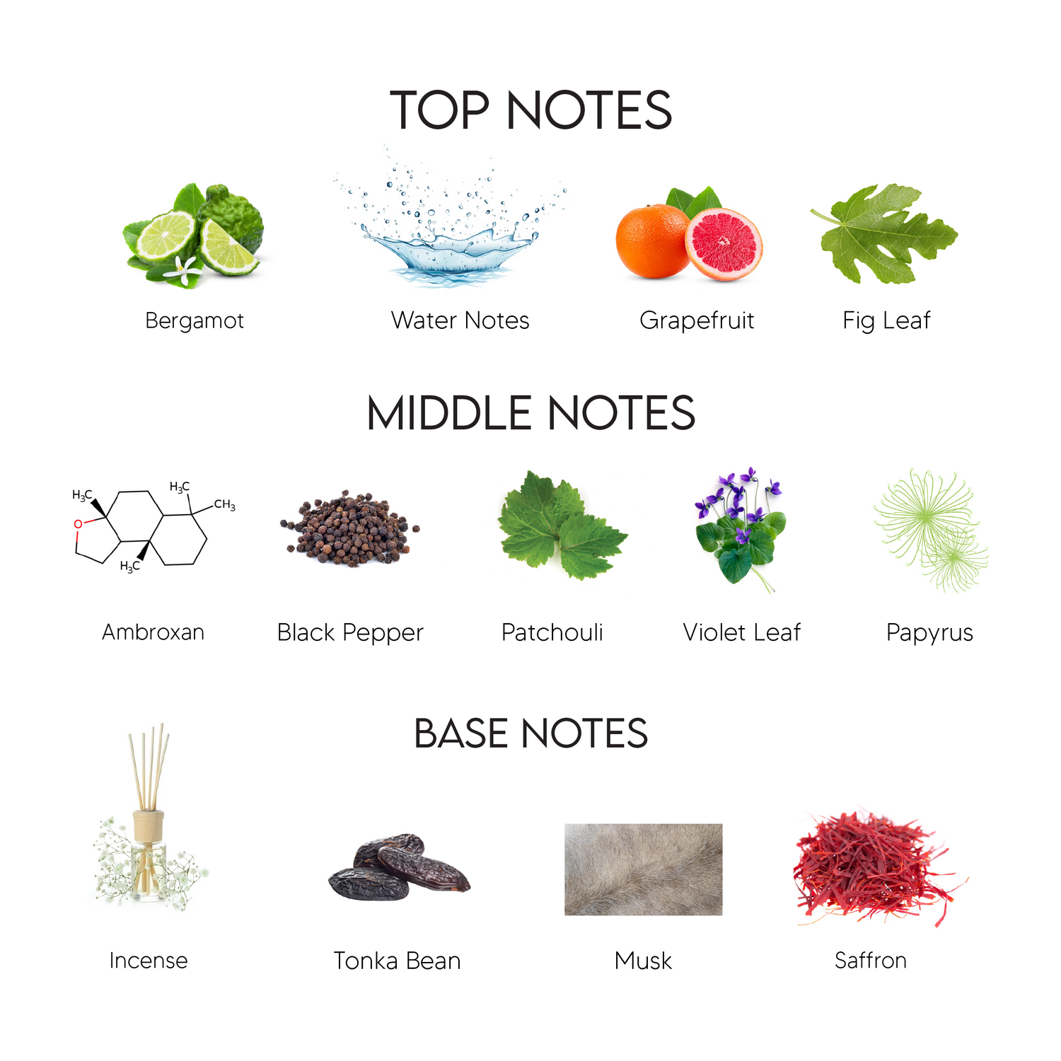 Versace Pour Homme Dylan Blue Eau De Toilette for Men Sahara